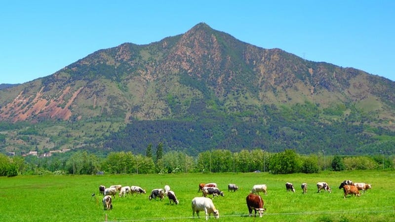 Scopri di più sull'articolo Il Musinè