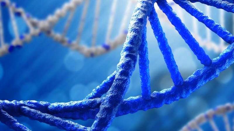 Scopri di più sull'articolo NUOVO DNA