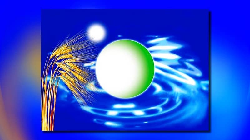 Al momento stai visualizzando La Bandiera del Pianeta Terra