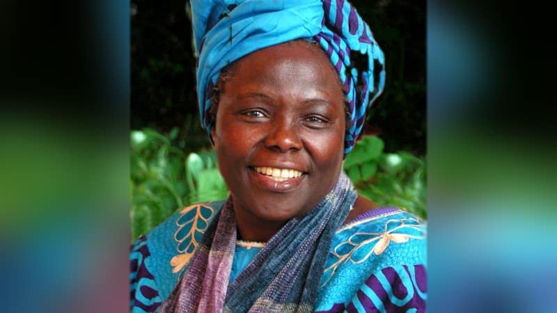 Al momento stai visualizzando La religione della Terra di Wangari Maathai