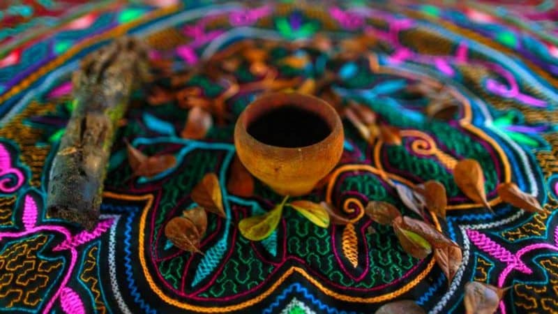 Scopri di più sull'articolo Gli straordinari effetti dell’Ayahuasca