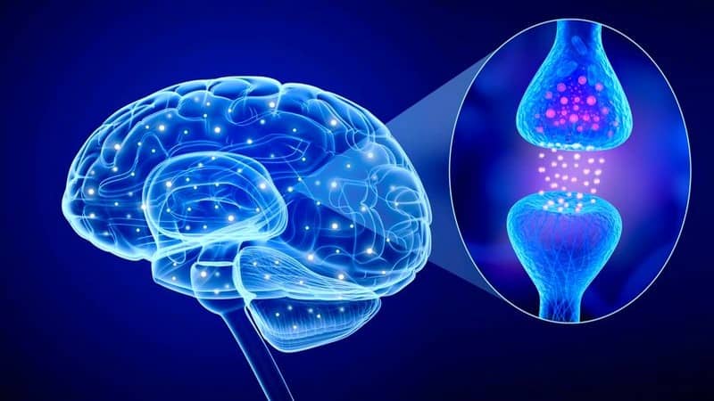 Al momento stai visualizzando Grandi notizie censurate: i neuroni a specchio ti cambiano la vita! Subito!!!