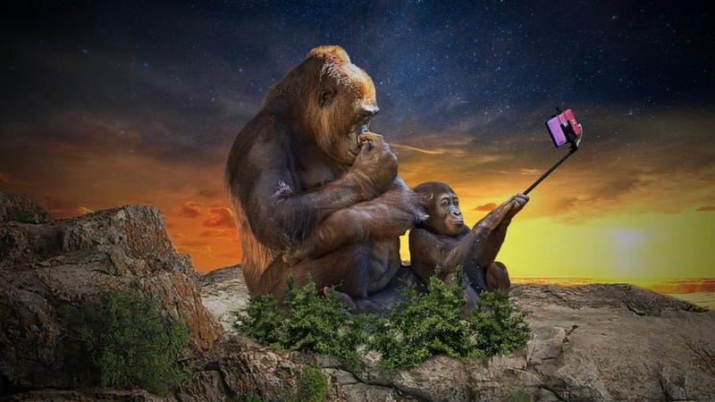 Al momento stai visualizzando Gli altri esseri senzienti